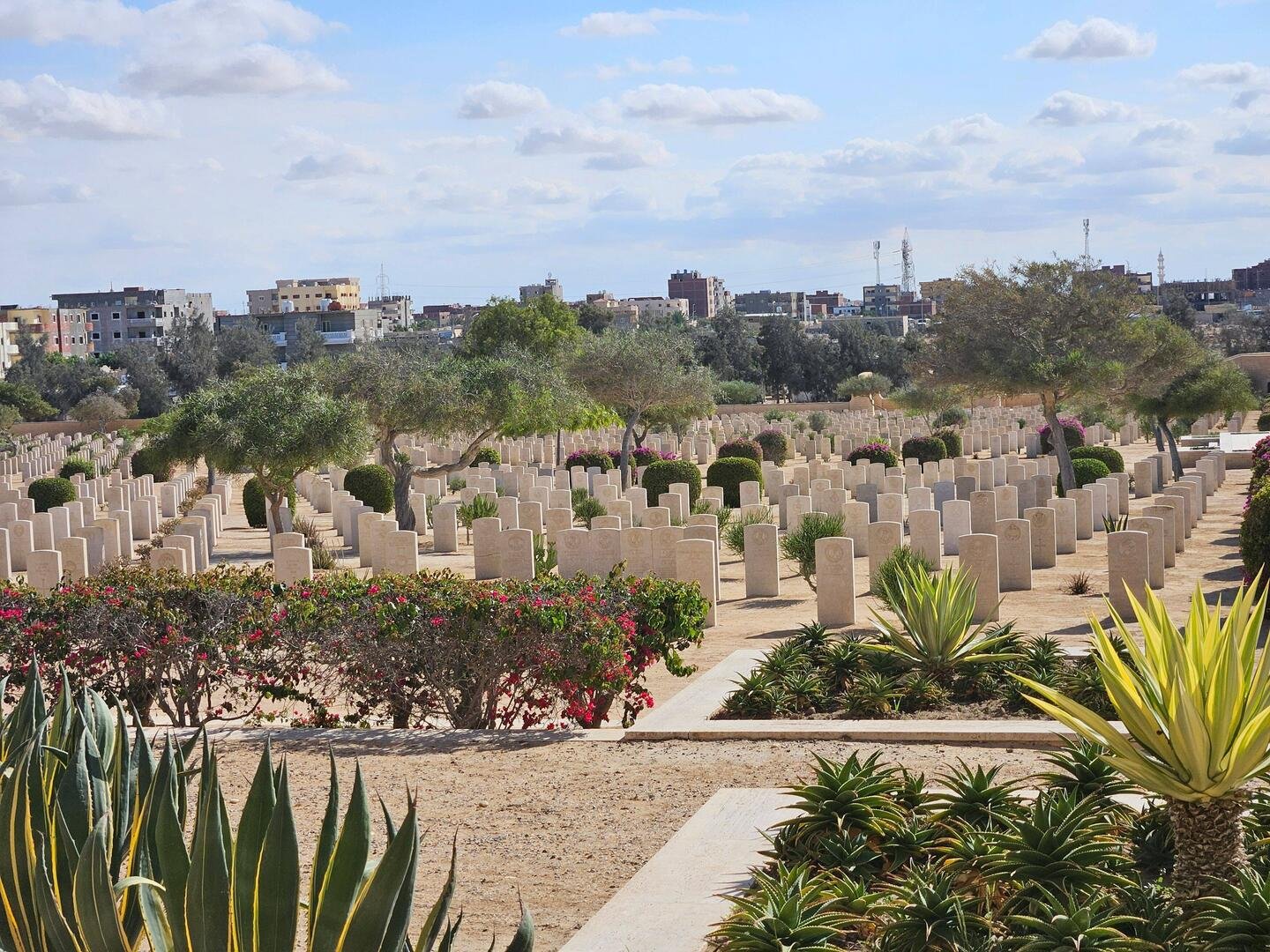 The Commonwealth War Cemetery, El Alamein